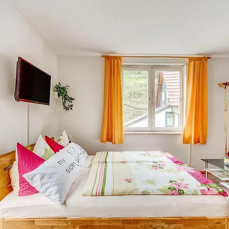 Ferienhaus Im Thueringer Wald, Cleaning Included Langenbach (Thuringia)