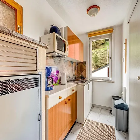 Ferienhaus Im Thueringer Wald, Cleaning Included Casa vacanze Langenbach (Thuringia)