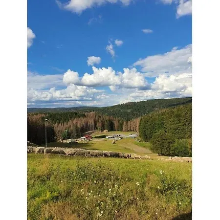Ferienhaus Im Thueringer Wald, Cleaning Included Casa vacanze Langenbach (Thuringia)