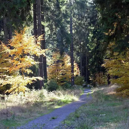 Casa vacanze Ferienhaus Im Thueringer Wald, Cleaning Included