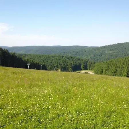 Casa vacanze Ferienhaus Im Thueringer Wald, Cleaning Included
