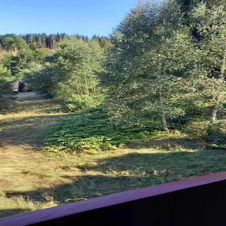 Ferienhaus Im Thueringer Wald, Cleaning Included Casa vacanze *