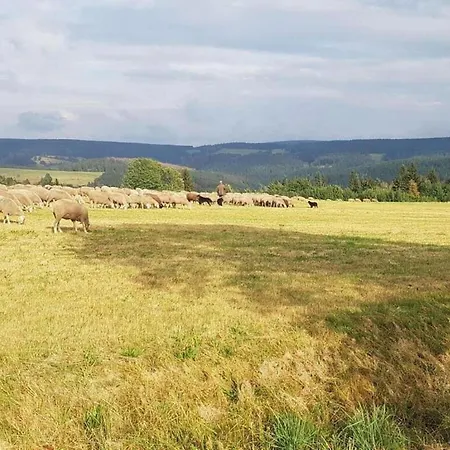 Casa vacanze Ferienhaus Im Thueringer Wald, Cleaning Included *