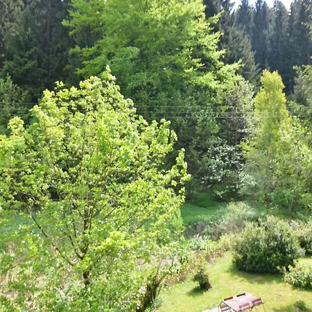 Ferienhaus Im Thueringer Wald, Cleaning Included Langenbach (Thuringia)